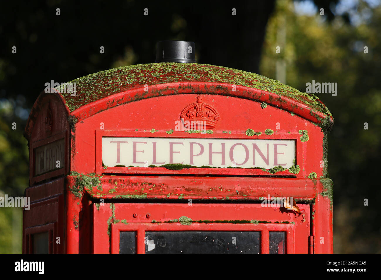 traditional old British telephone box or phone booth with the Royal crown embossed on it covered in moss and lichen and peeling paint in Oxford UK Stock Photo