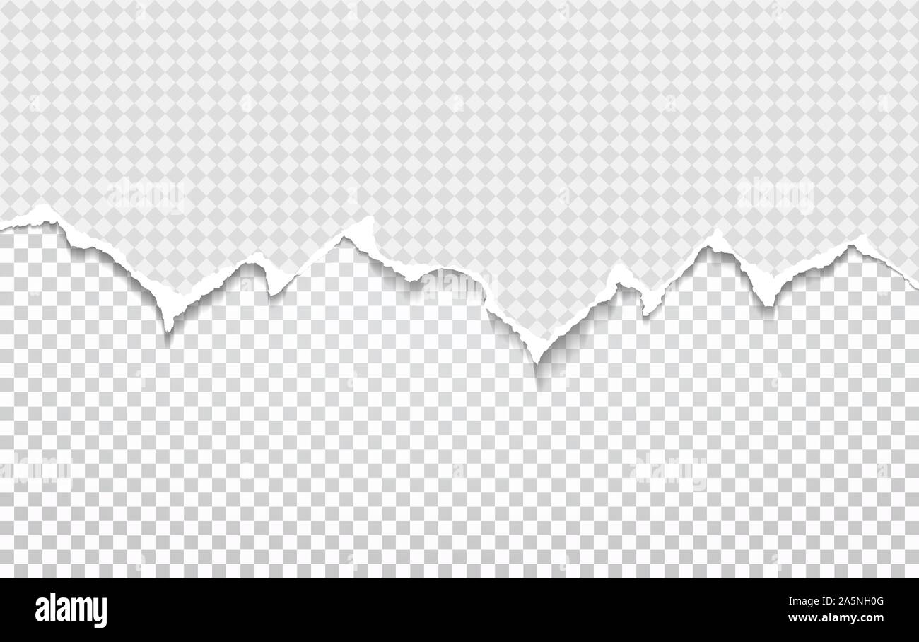 White Line Subtle Paper Ripped Piece of ripped white paper strip with torn edge and soft shadow for ...