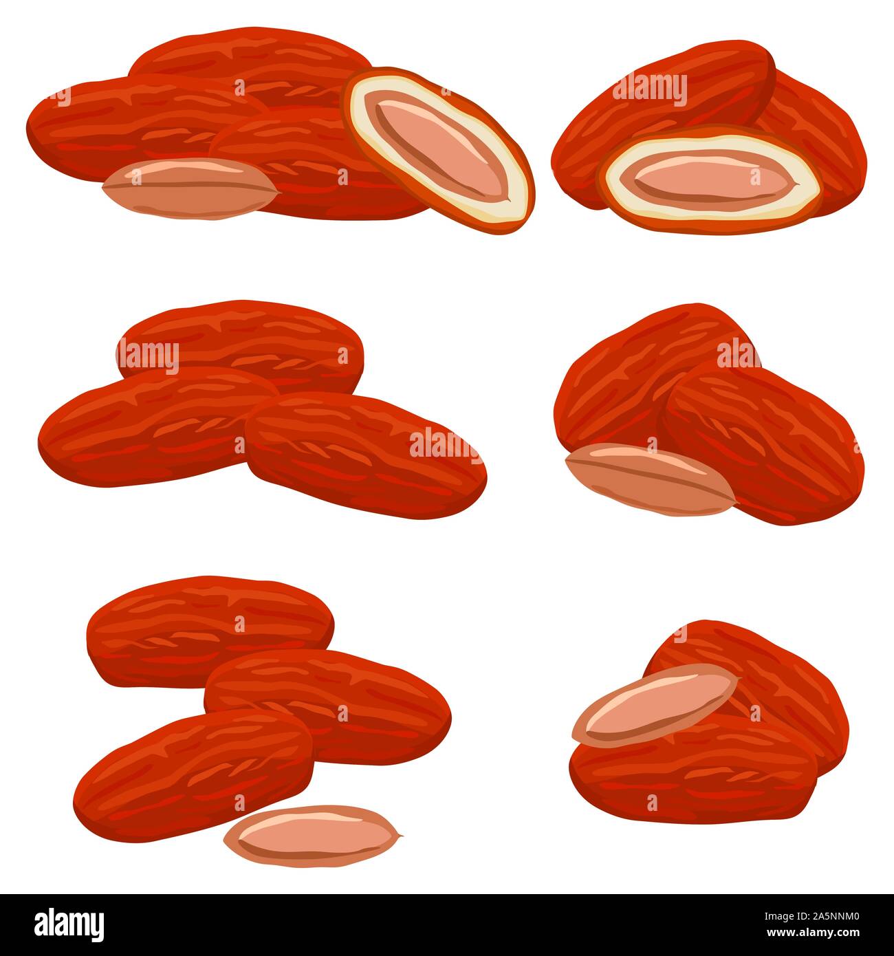 Illustration on theme big colored set different types of date fruit for