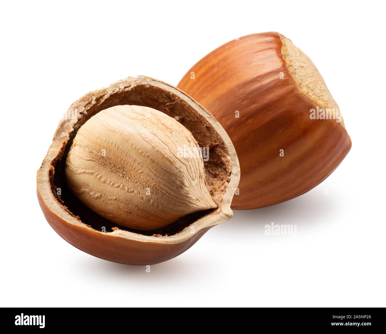 whole hazelnut with hazelnut in broken shell isolated on a white