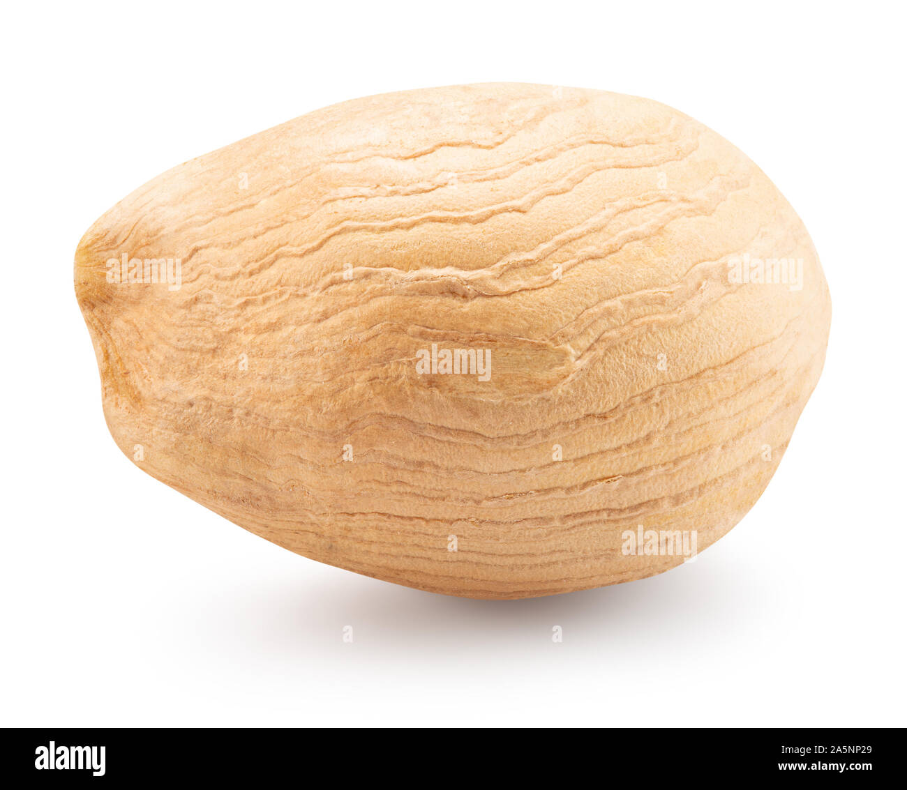 hazelnut without shell isolated on a white background. Stock Photo