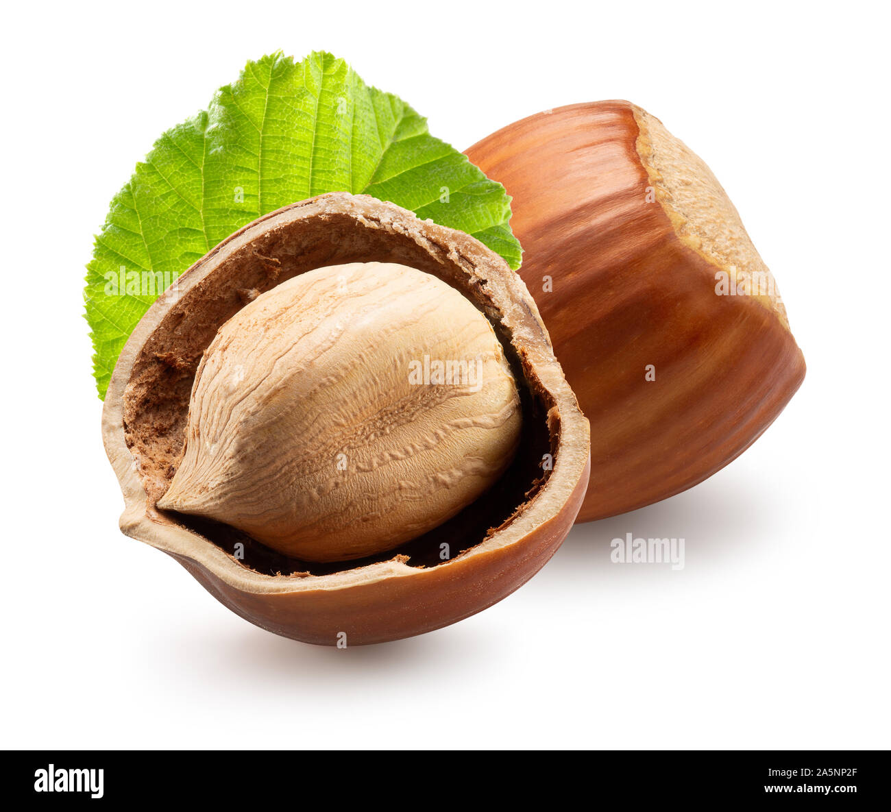whole hazelnuts with hazelnut in broken shell with leaves isolated on a