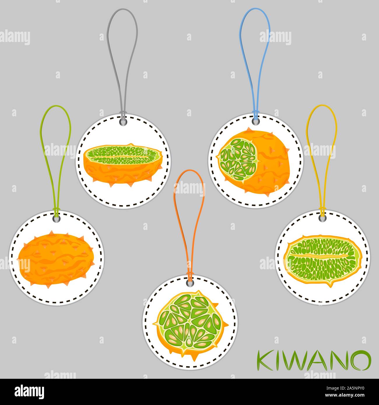 Illustration on theme big set different types african kiwano, green stem, melon various size. Kiwano pattern consisting of collection meal melon for o Stock Vector