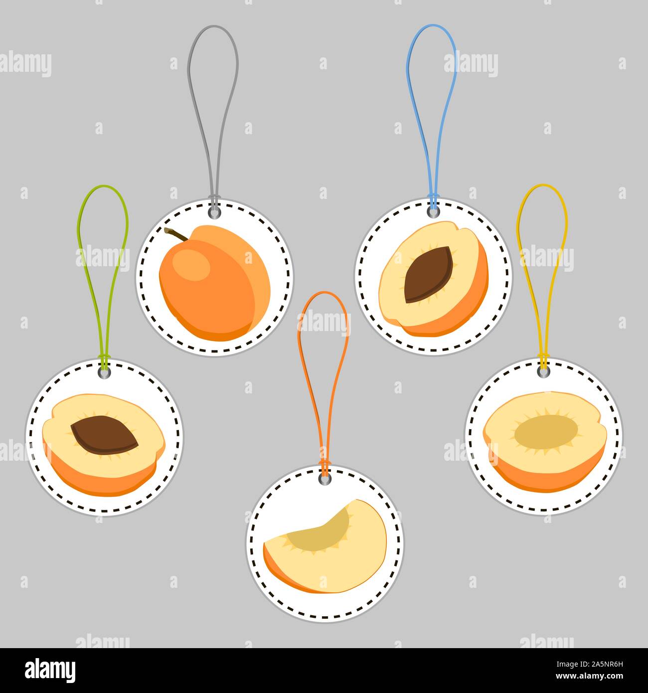 Illustration on theme big set different types round apricot, plant various size. Apricot pattern consisting of collection meal for organic health beve Stock Vector