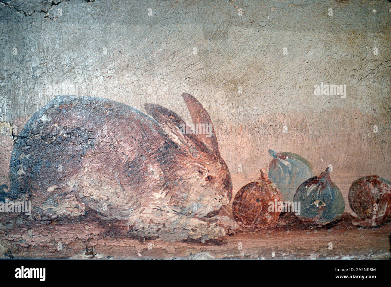 Still Life Wall Painting or Fresco of a Rabbit Nibbling Figs from a House in Pompeii 40-79AD Italy Stock Photo
