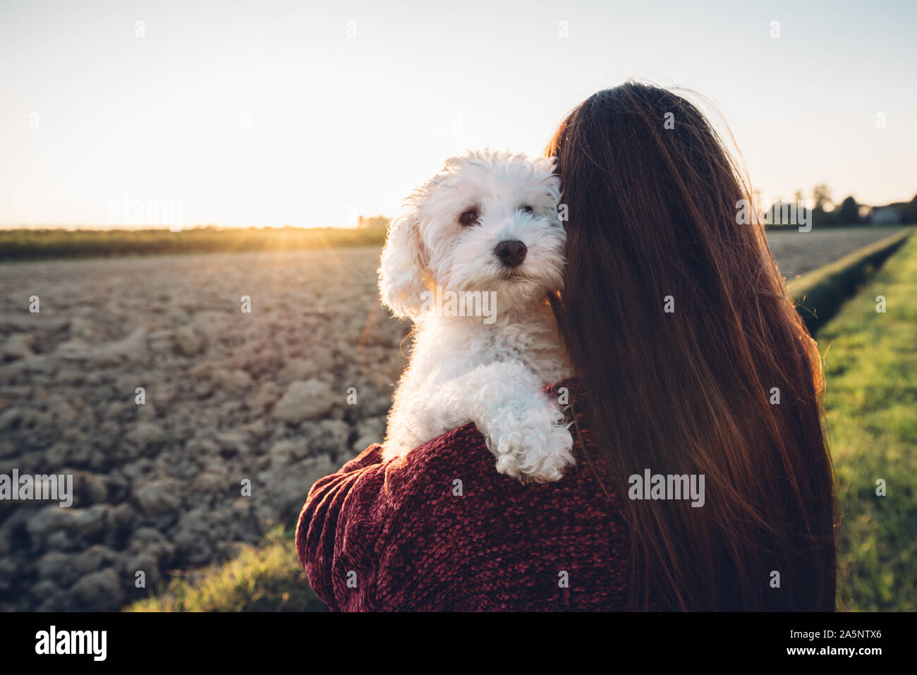 Romantic hug between a white dog and it's owner. Human and animals in love Stock Photo