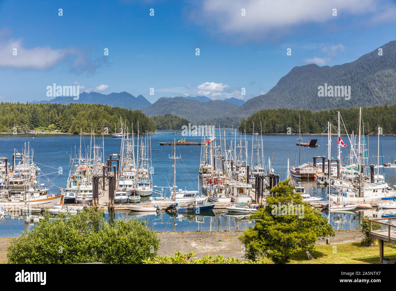 Harbor in Tofino, Vancouver Island, Canada Stock Photo