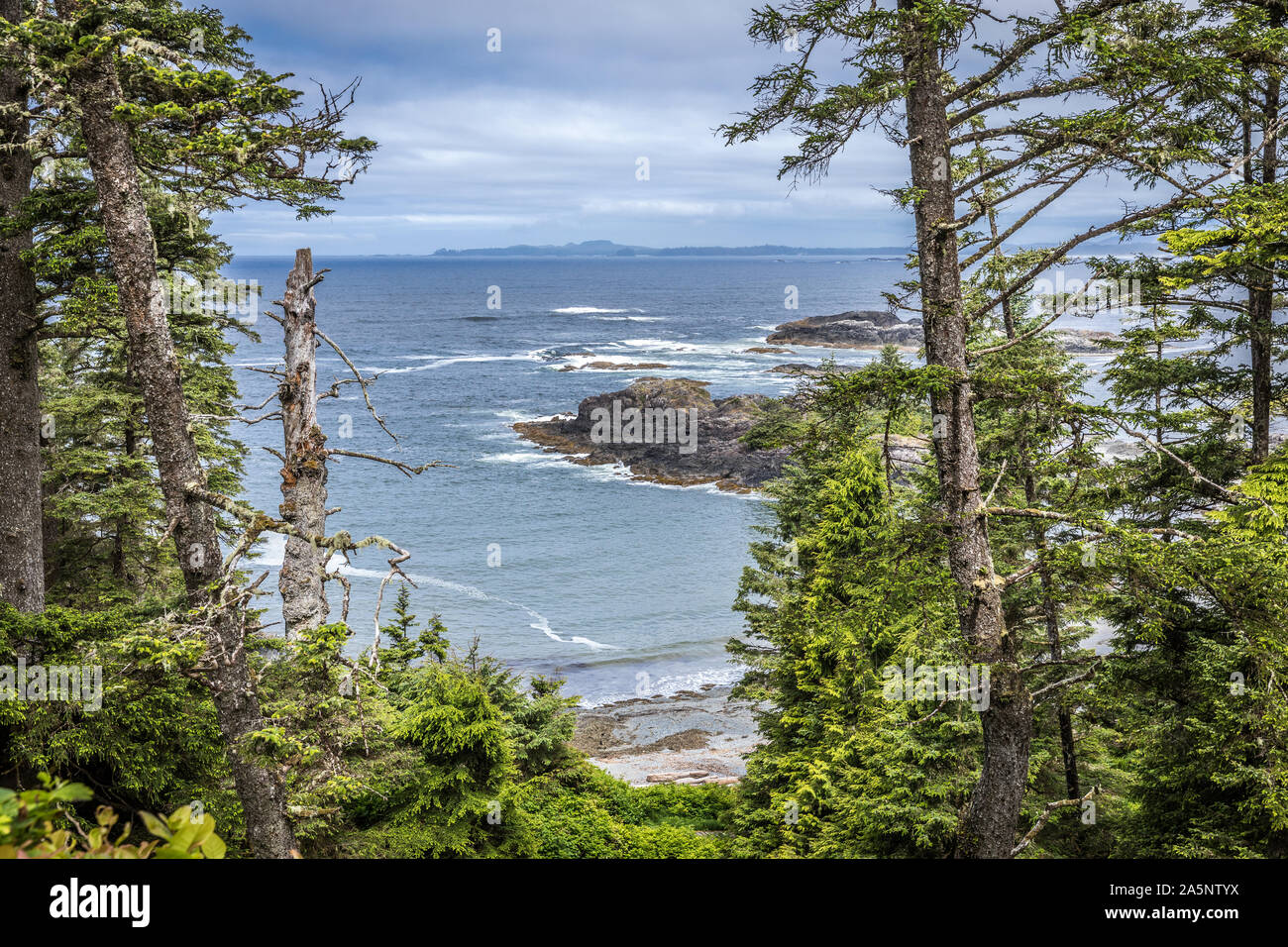 View of pacific coastline and rain forest near Tofino, Vancouver Island, British Columbia, Canada Stock Photo