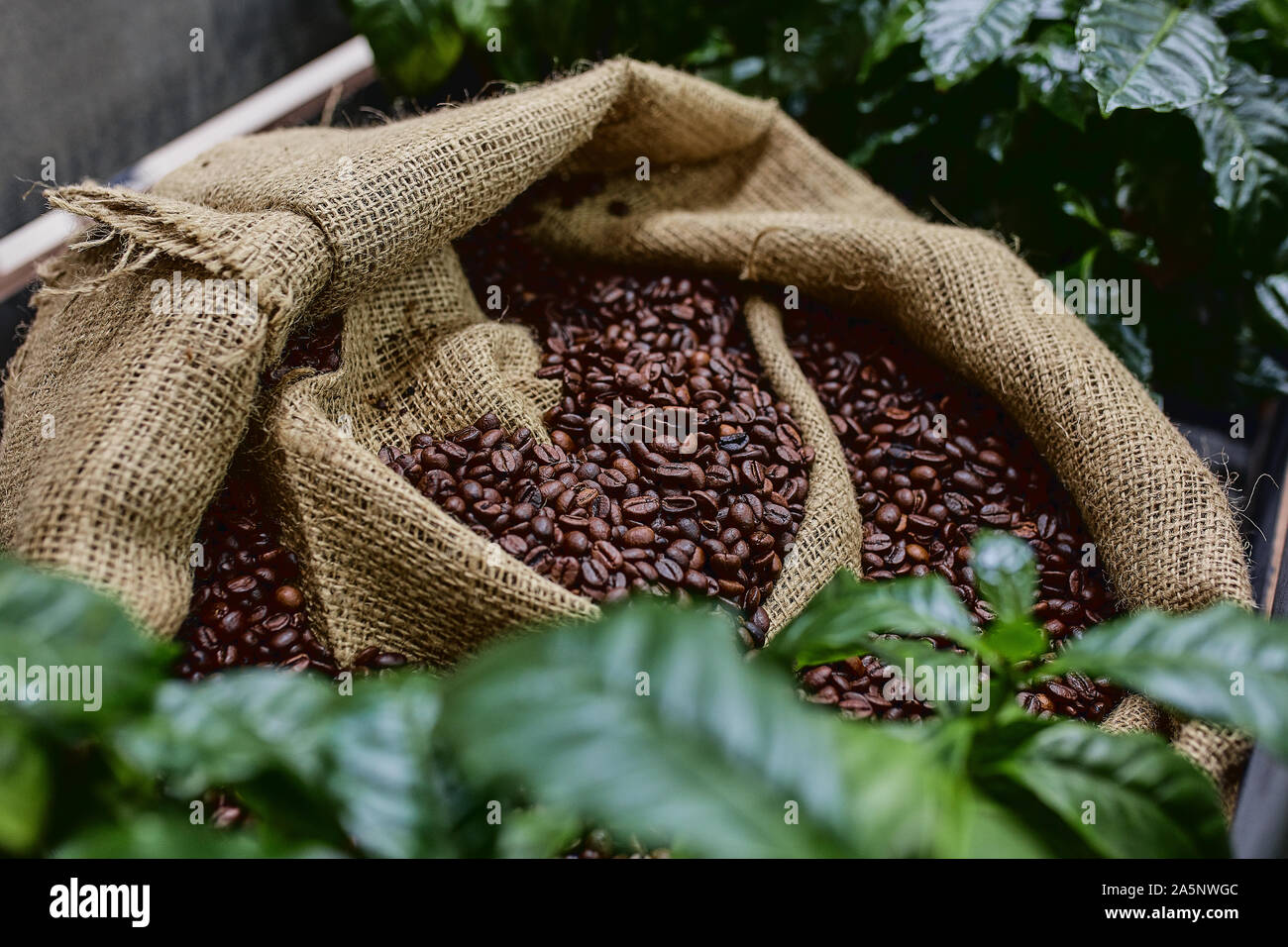 Open bag of coffee beans hires stock photography and images Alamy