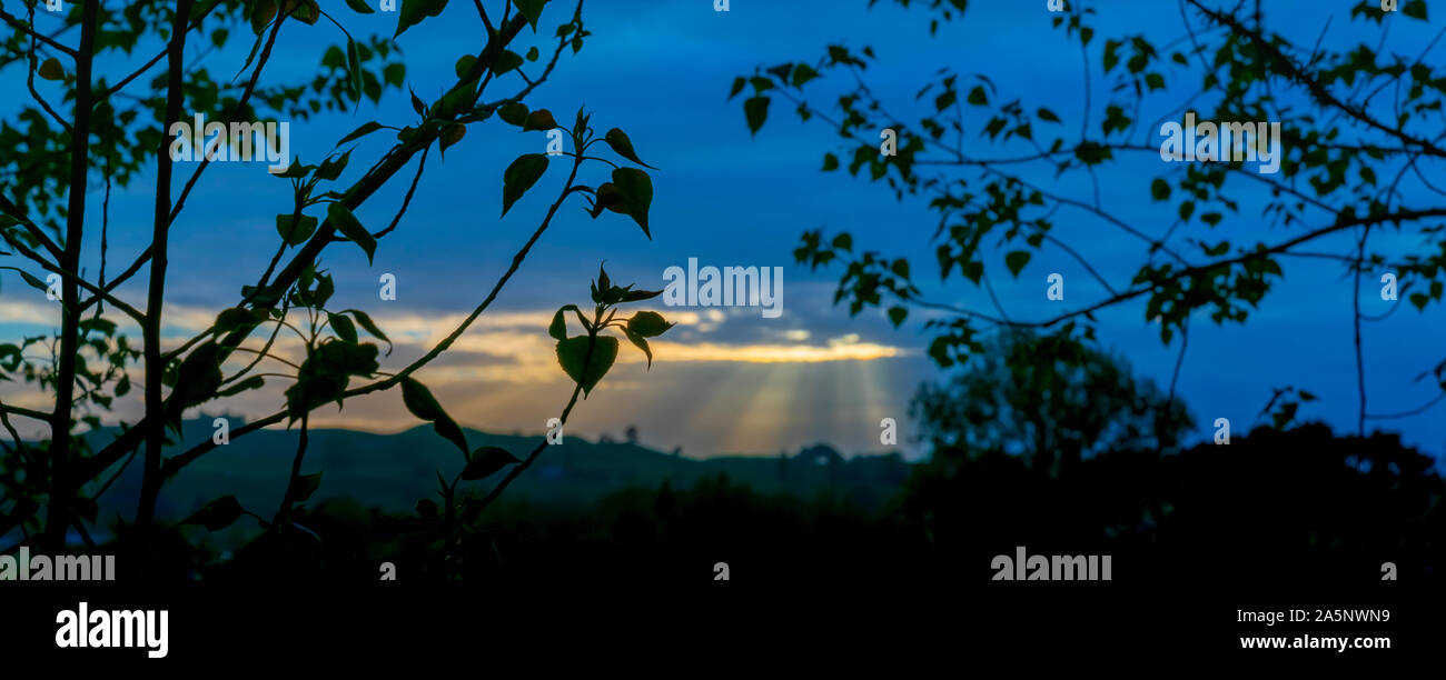Rising sun lights up landscape through gap in clouds silhouetting forground trees. Stock Photo