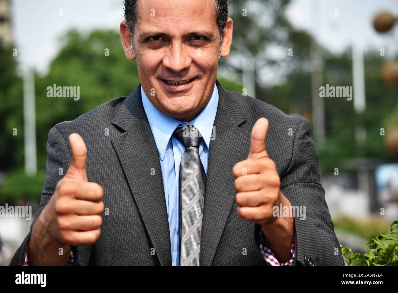 Successful Adult Business Man Wearing Suit And Tie Stock Photo - Alamy
