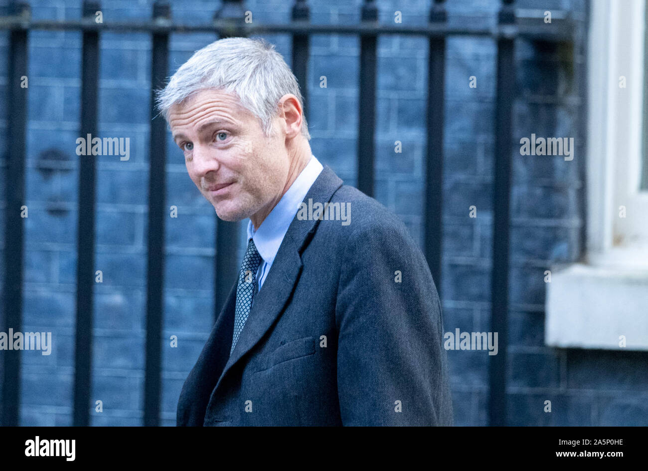 London, UK. 22nd Oct, 2019. Zac Goldsmith arrives at a Cabinet meeting at 10 Downing Street, London Credit: Ian Davidson/Alamy Live News Stock Photo