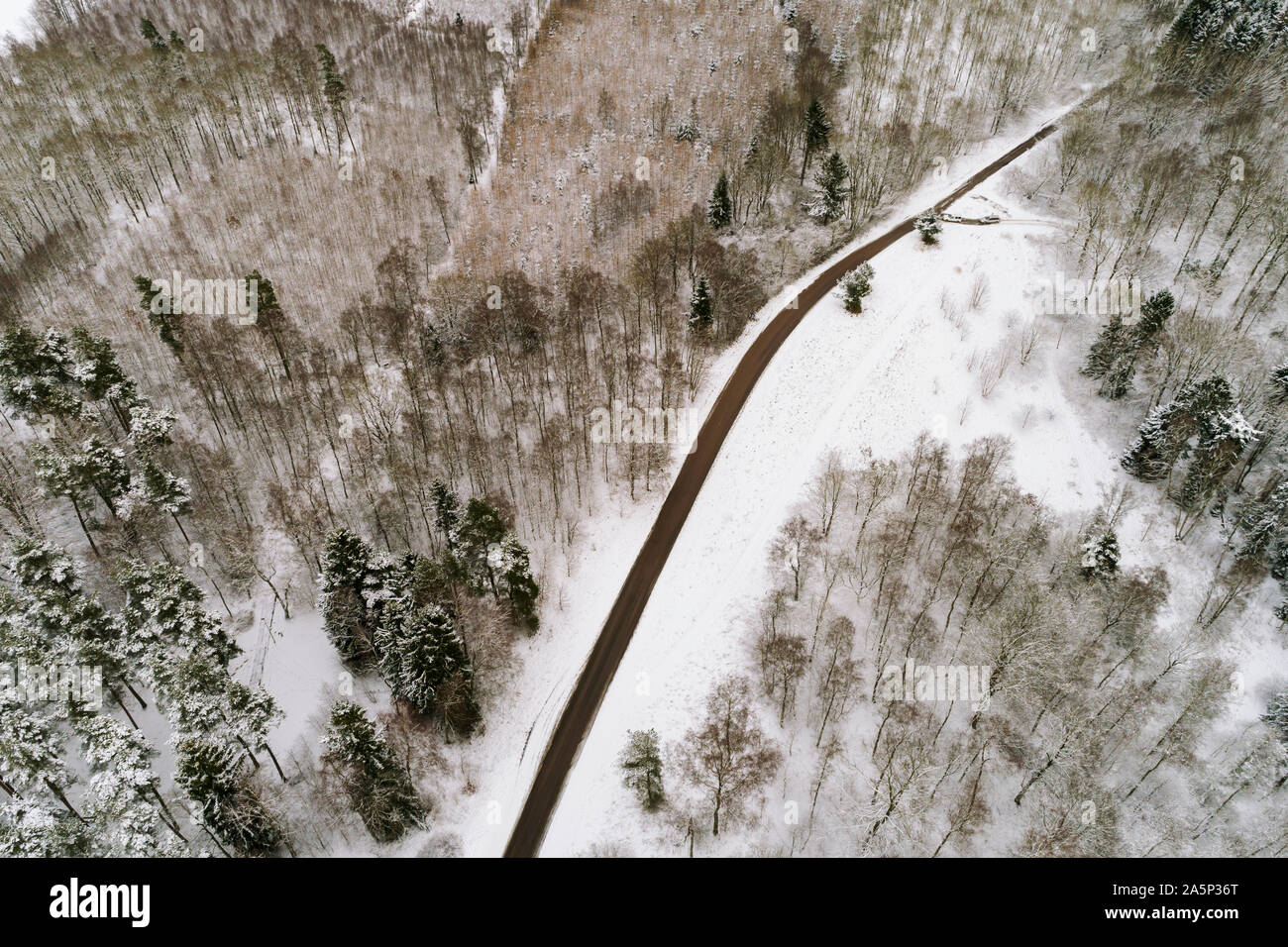 Road in forest in winter Stock Photo - Alamy