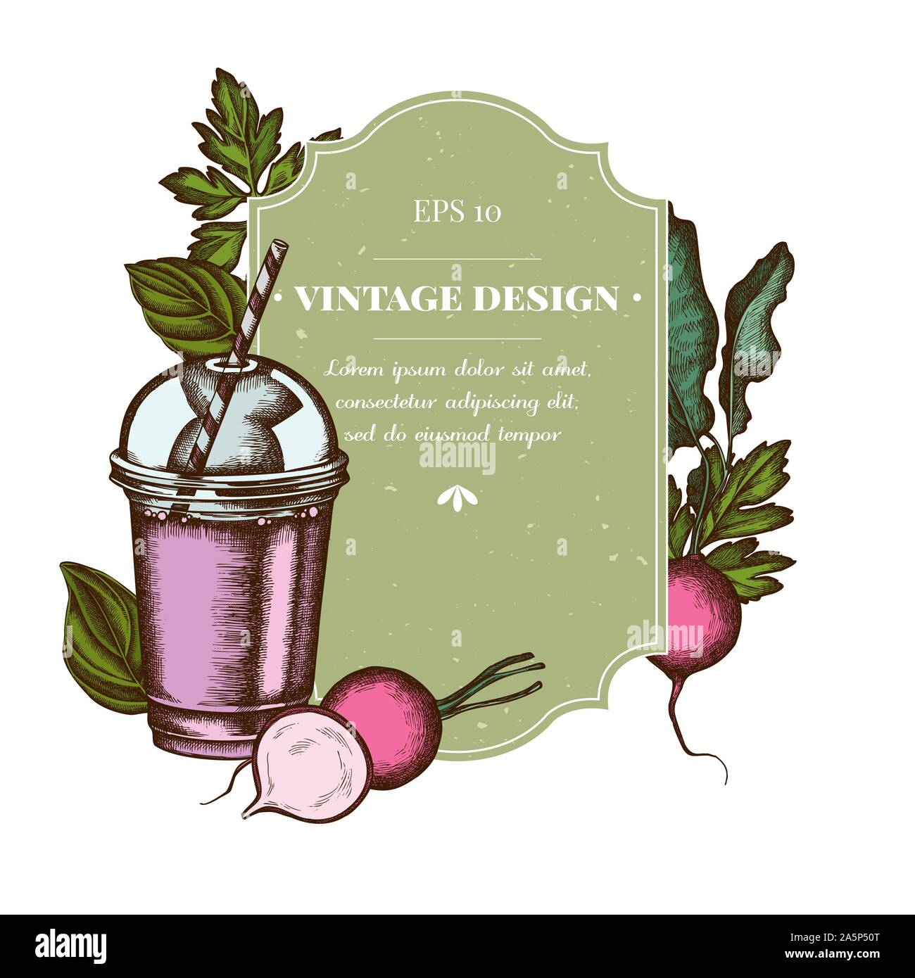 Badge design with colored radish, greenery, basil, smoothie cup stock illustration Stock Vector