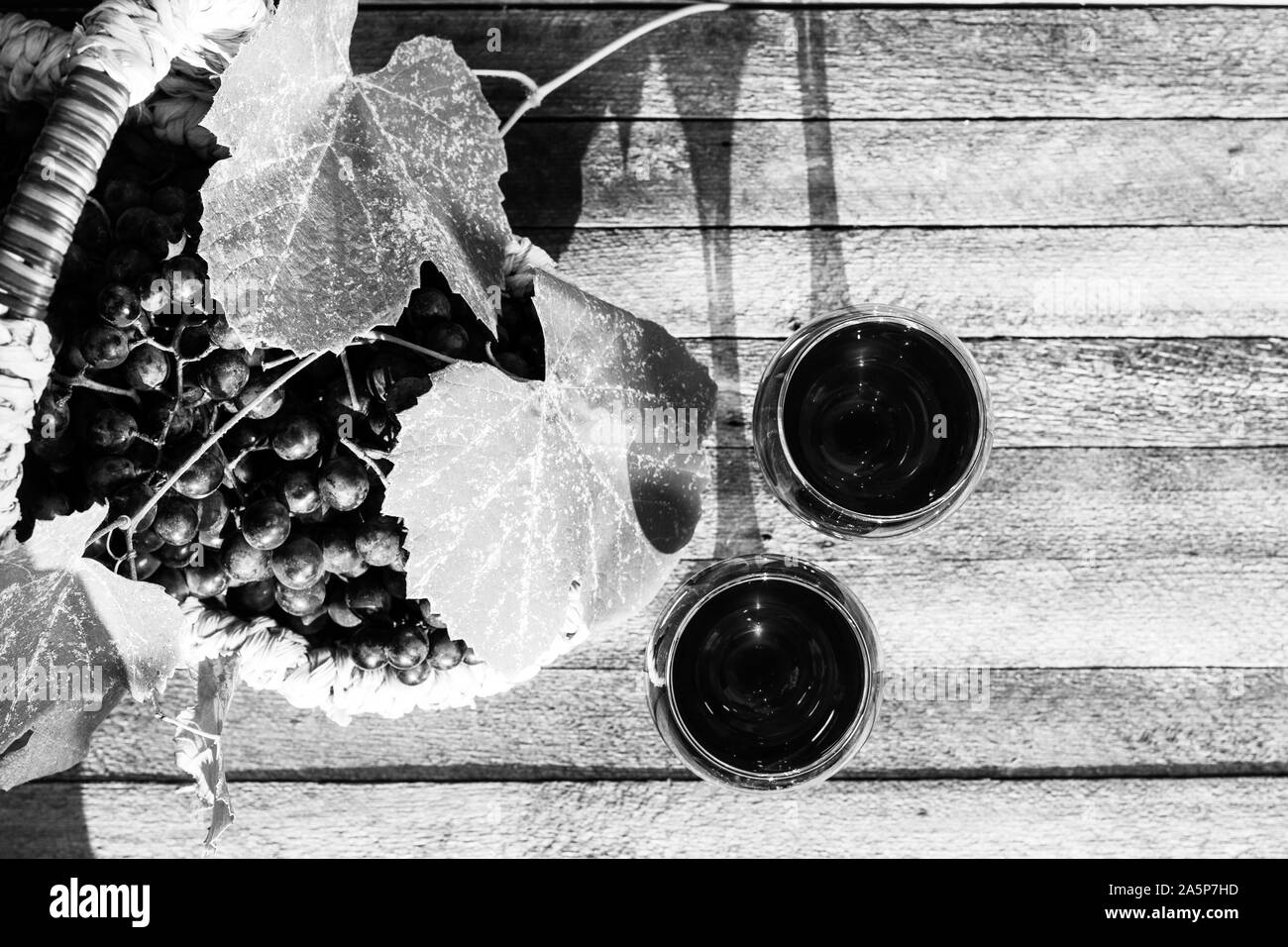 two glasses of red wine and a basket of grapes on a wooden background on a Sunny day top view, black and white photo Stock Photo