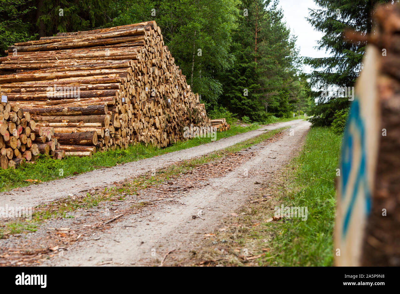 Stack of logs near dirt track Stock Photo - Alamy