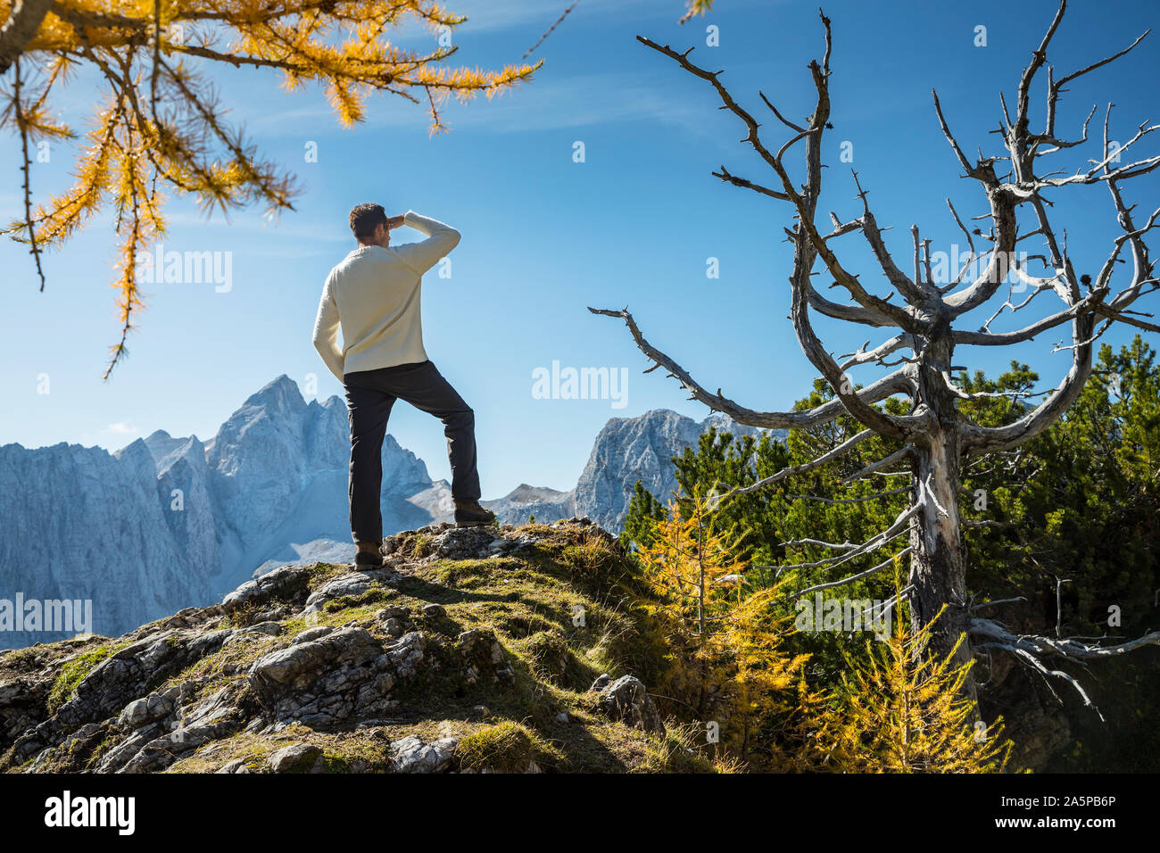 Man standing on mountain top hi-res stock photography and images - Alamy