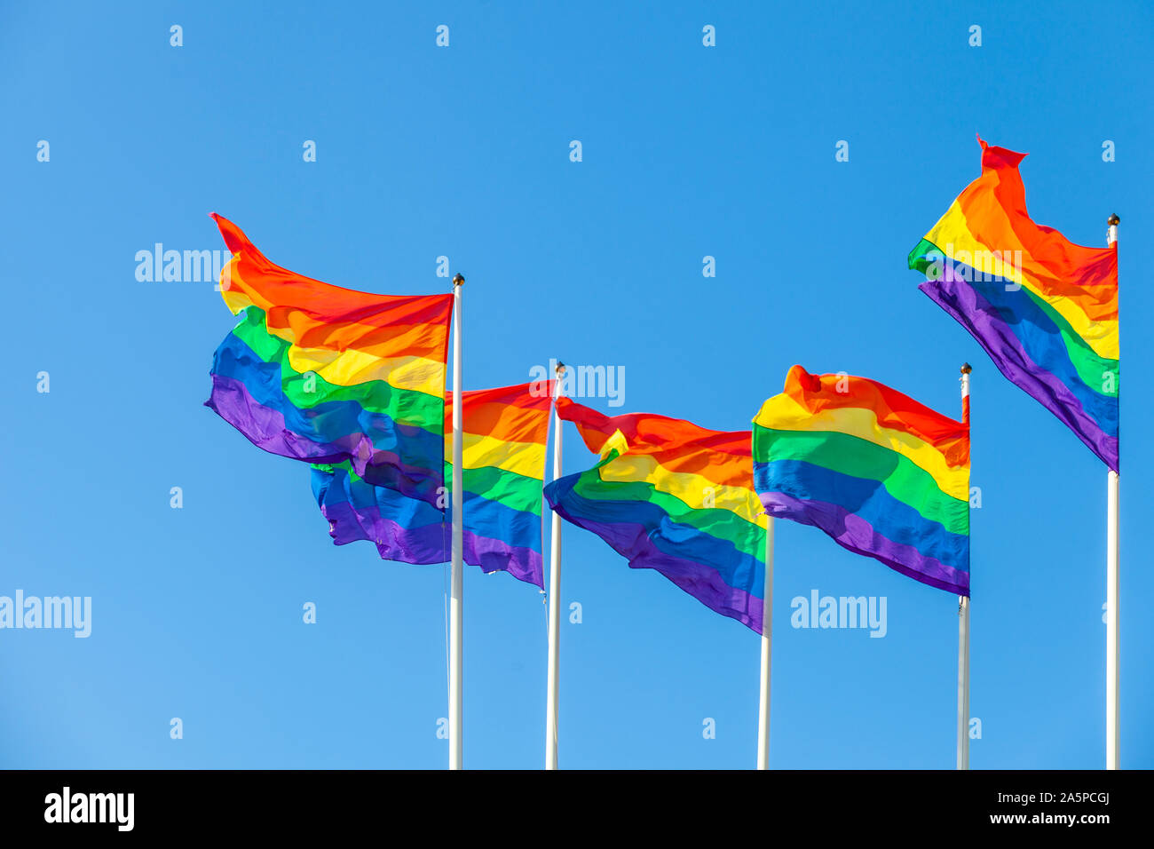 Amsterdam1 May2018 Rainbow Lgbt Flag On Stock Photo 1146110516