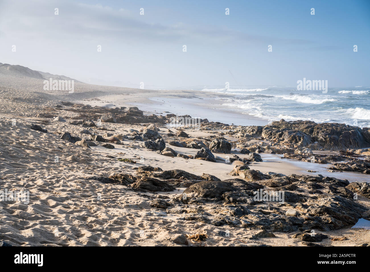 Labruge beach, Portugal, Europe. Camino de portuguese Stock Photo