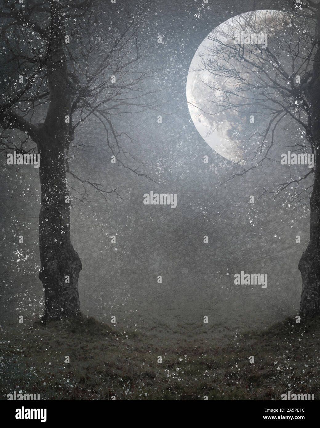 Night Moody Background Moon Tree High Resolution Stock Photography And Images Alamy