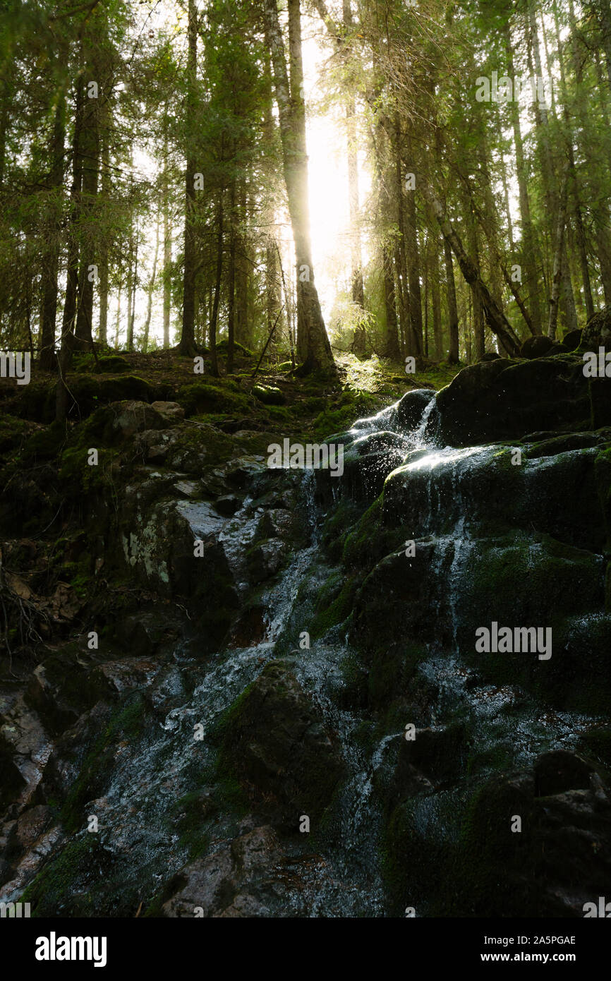 Little waterfall in forest Stock Photo