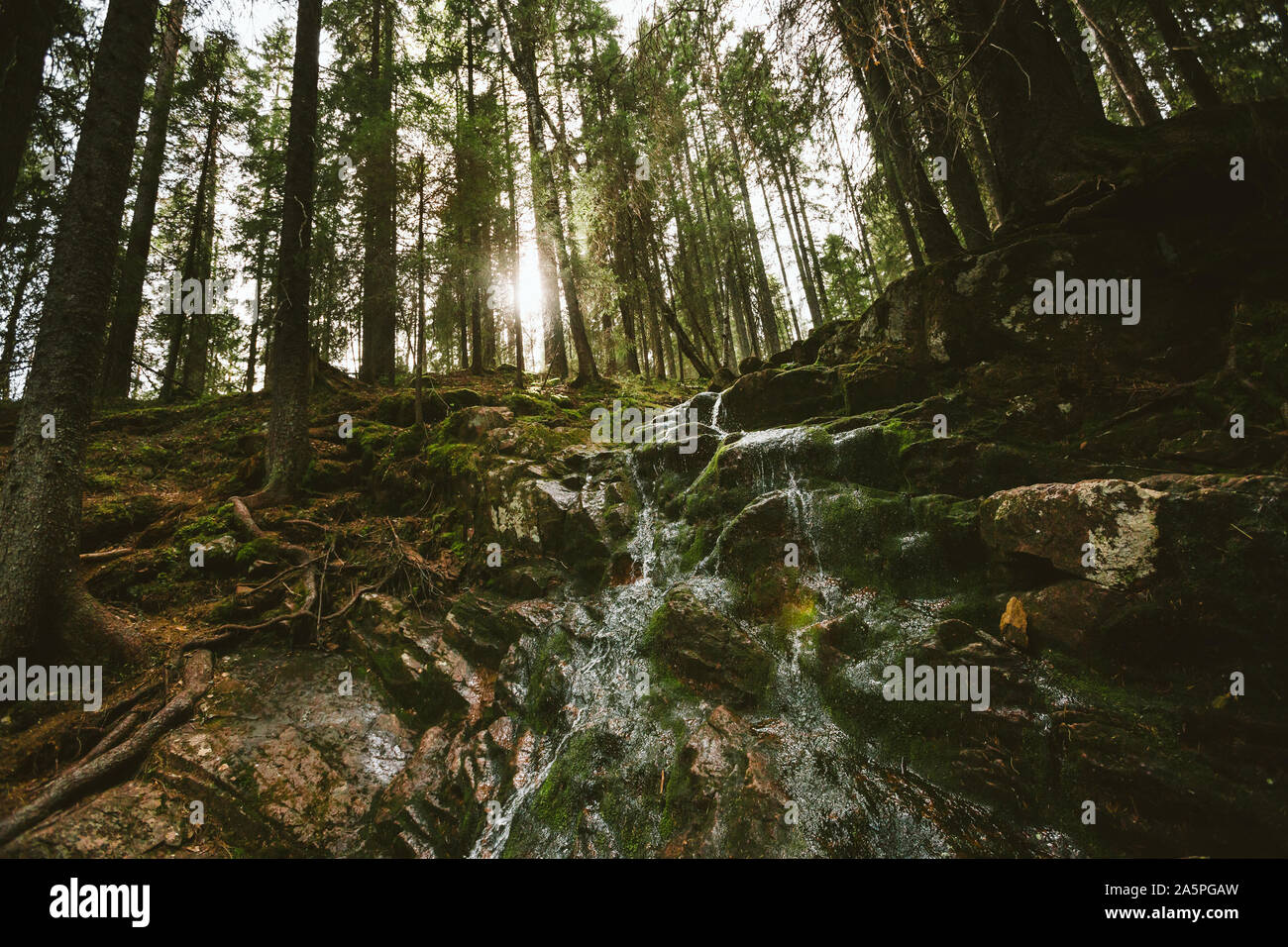 Little waterfall in forest Stock Photo