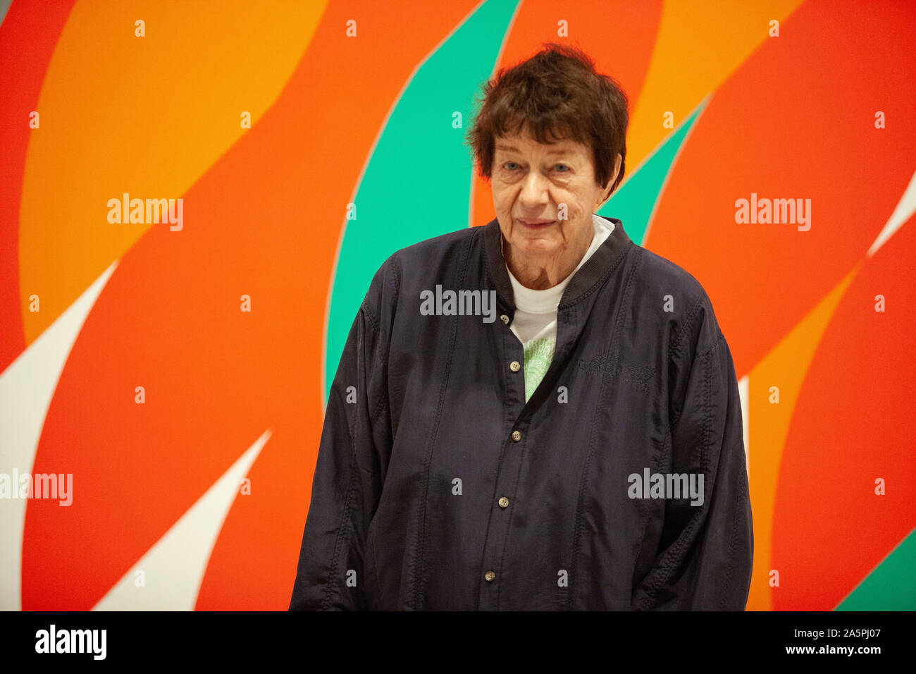 Bridget riley portrait hi-res stock photography and images - Alamy