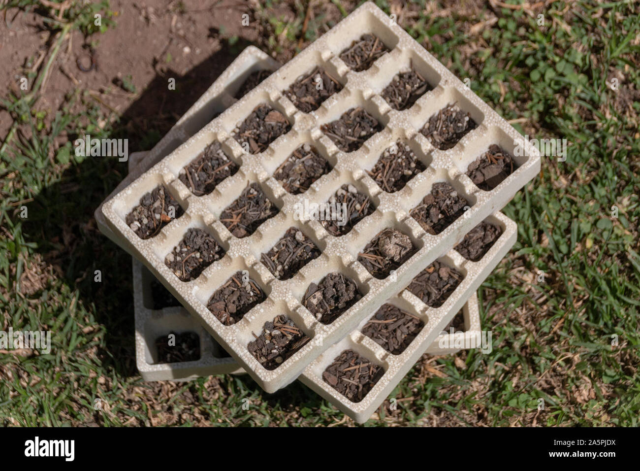 Polystyrene seedling tray hires stock photography and images Alamy