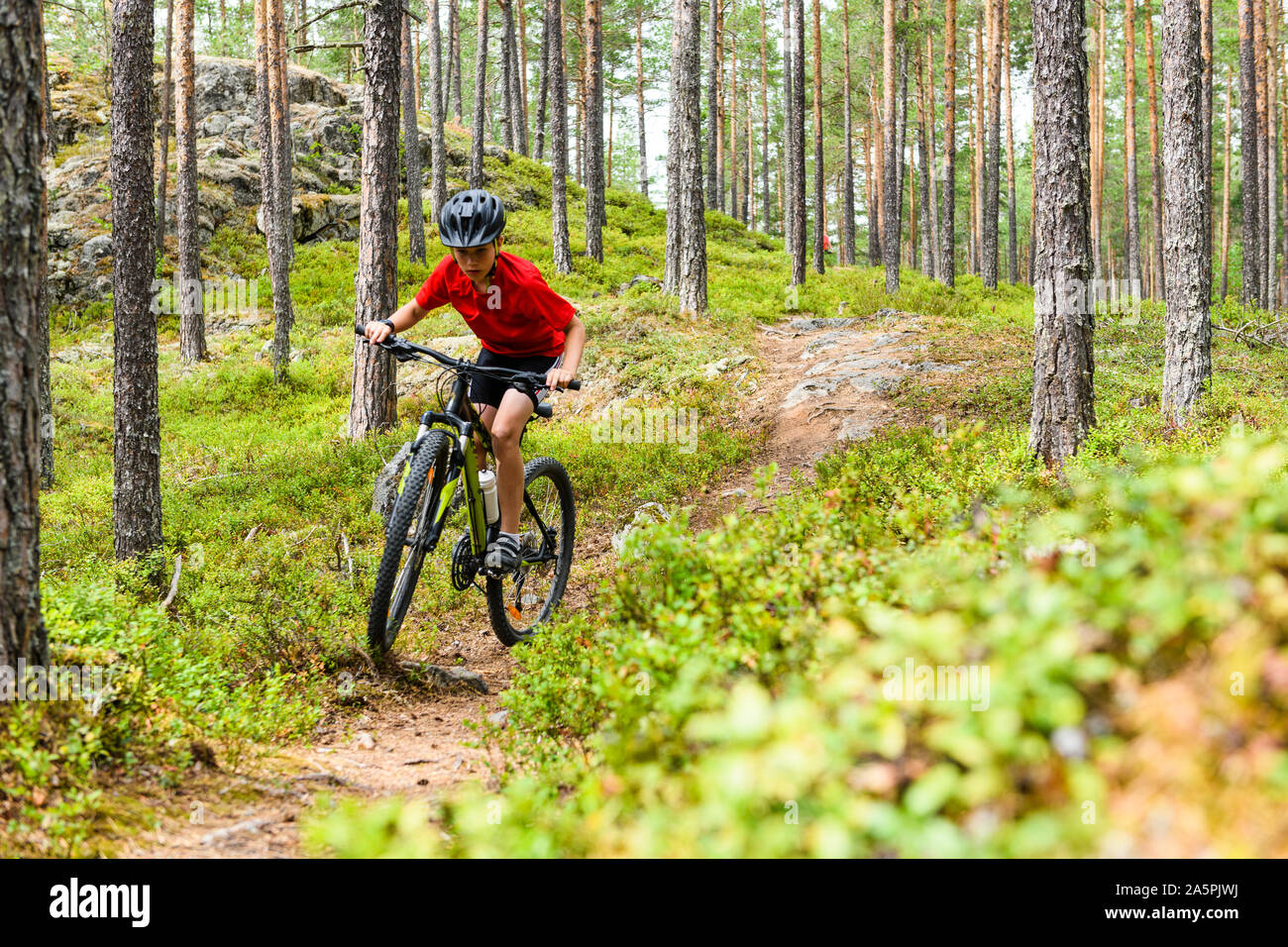 Boy cycling through forest Stock Photo