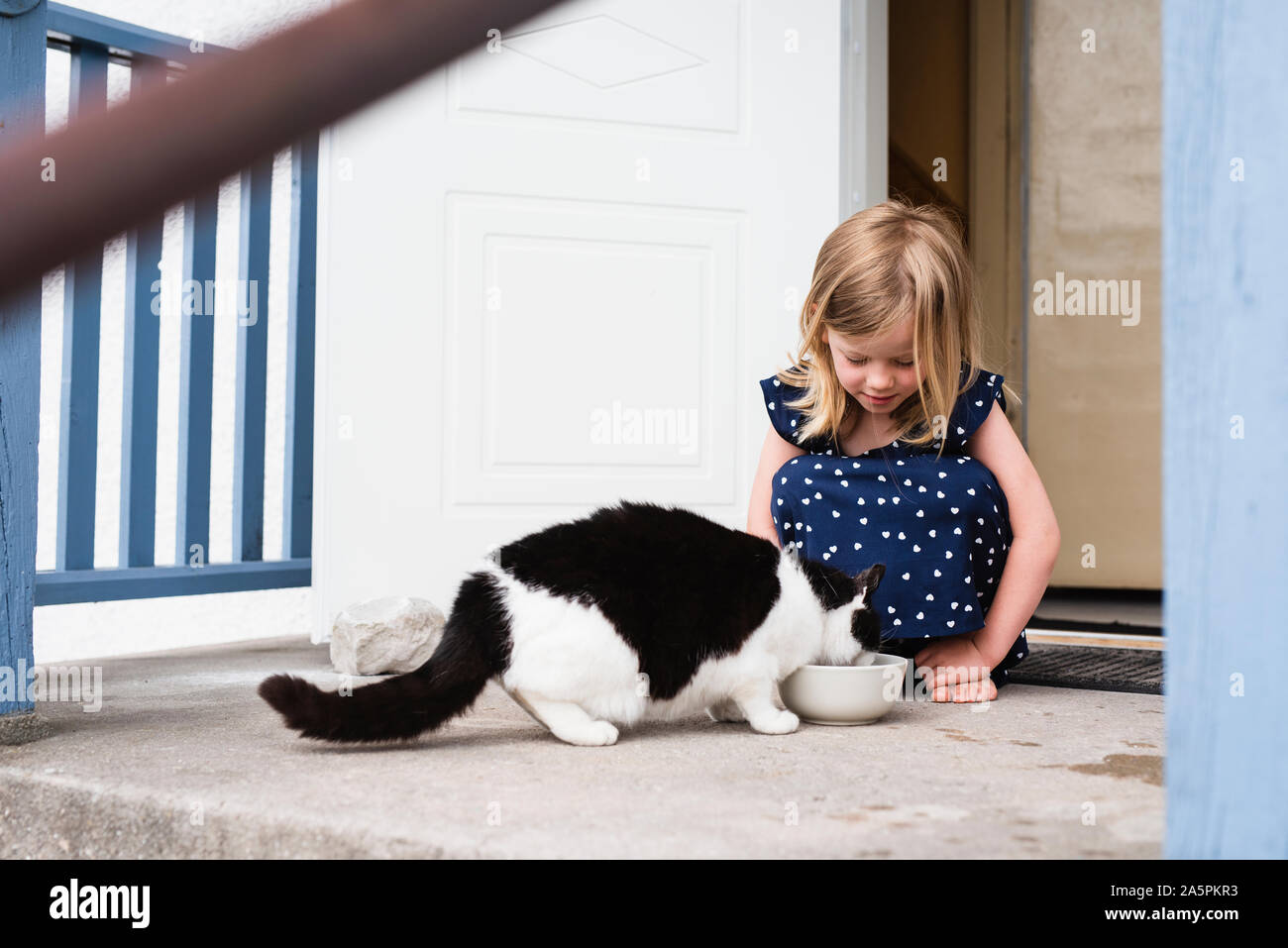 Girl feeding cat Stock Photo