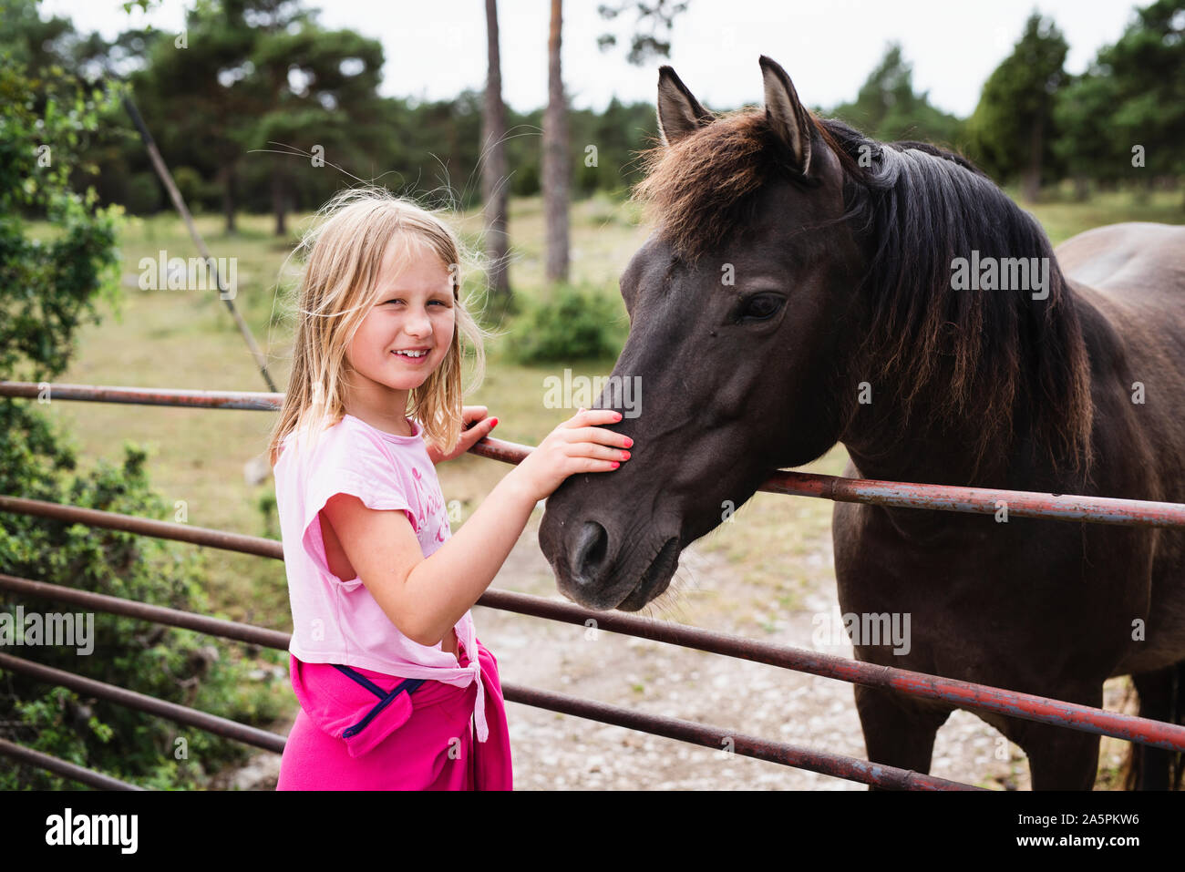 Girl stroking horse Stock Photo