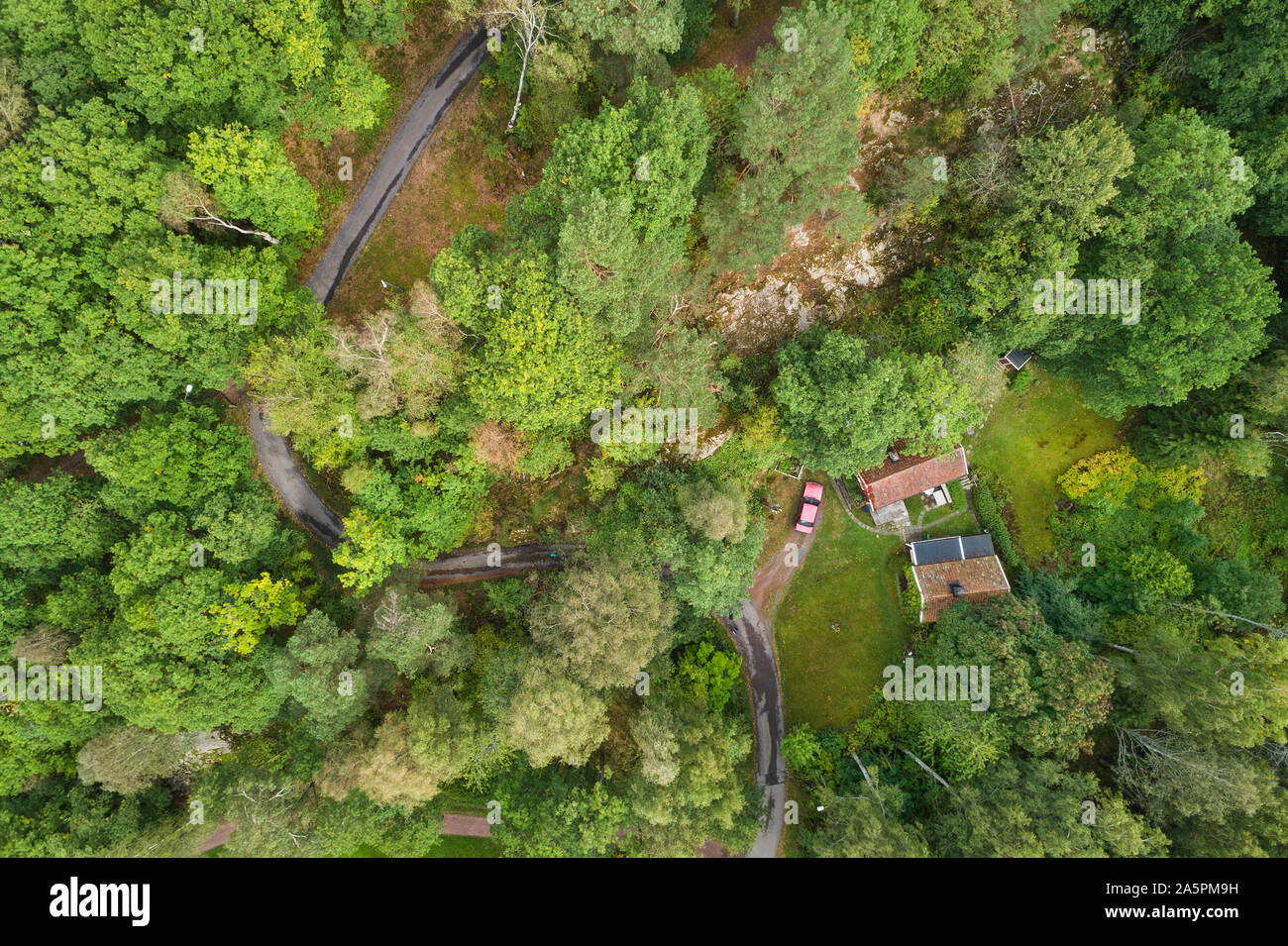Aerial view of house in forest Stock Photo - Alamy
