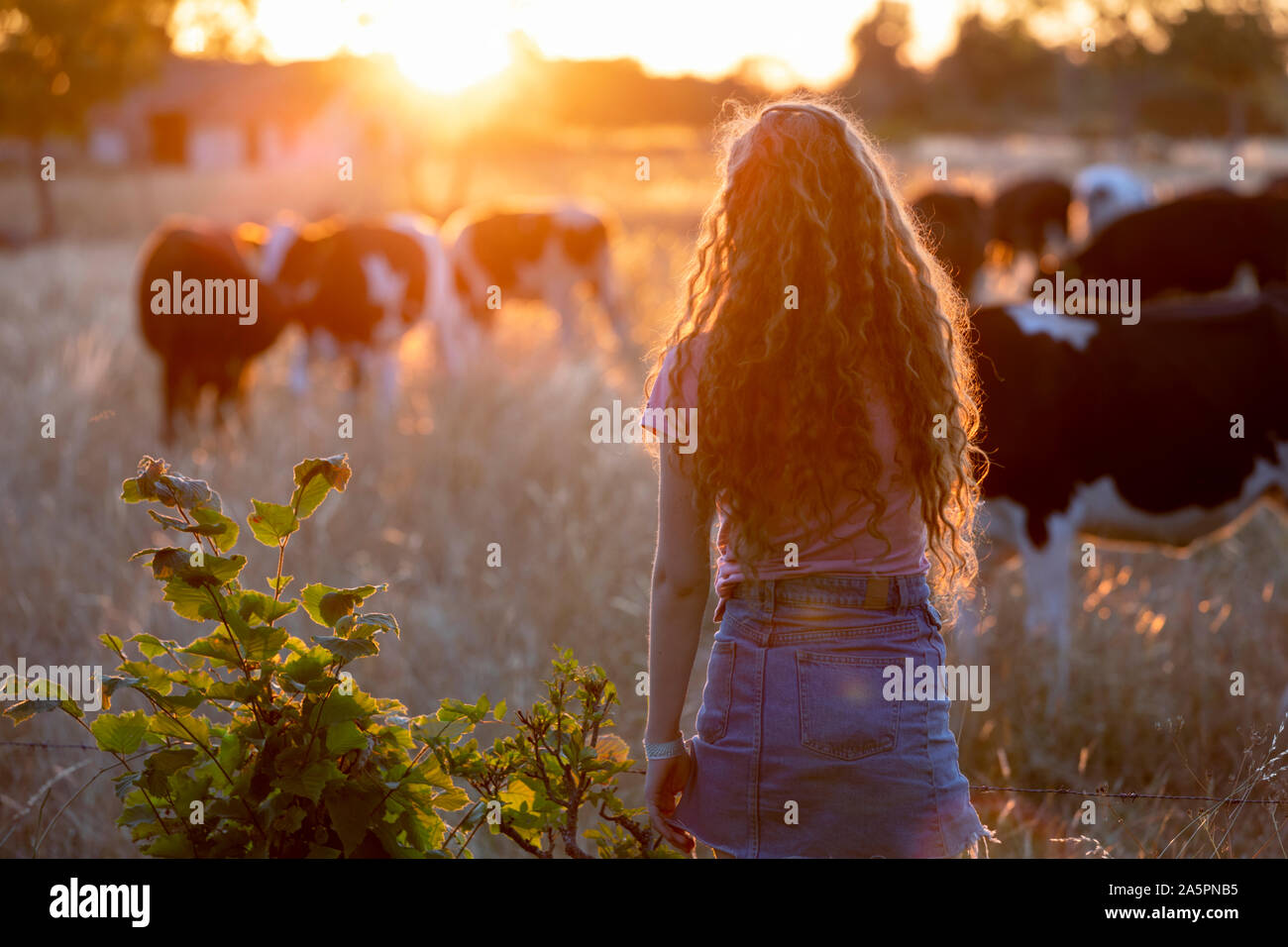 Teenage girl on meadow Stock Photo - Alamy