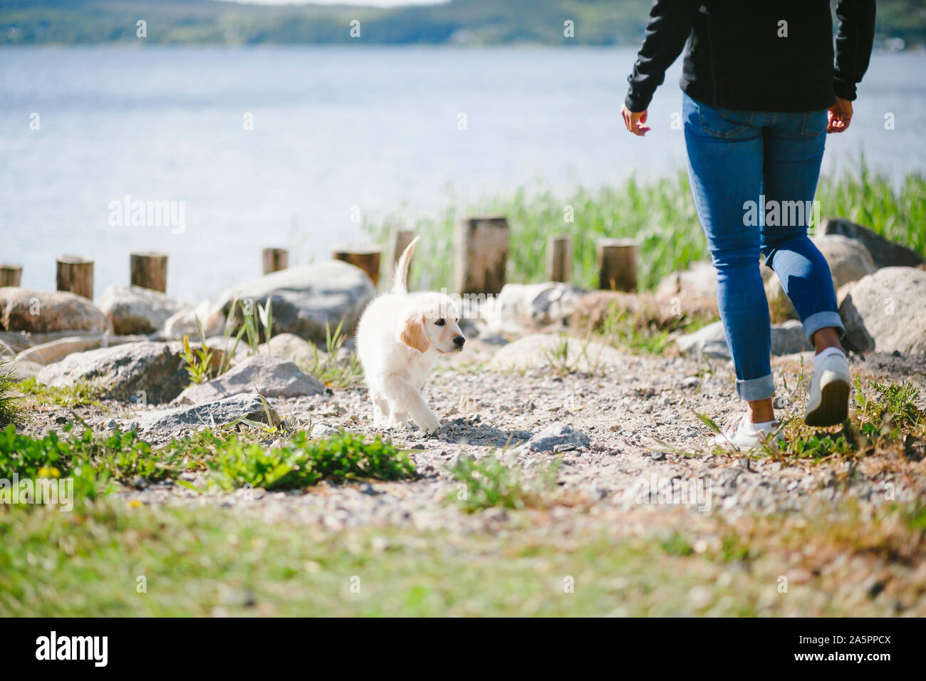 Walking coast sweden dog hi-res stock photography and images - Alamy