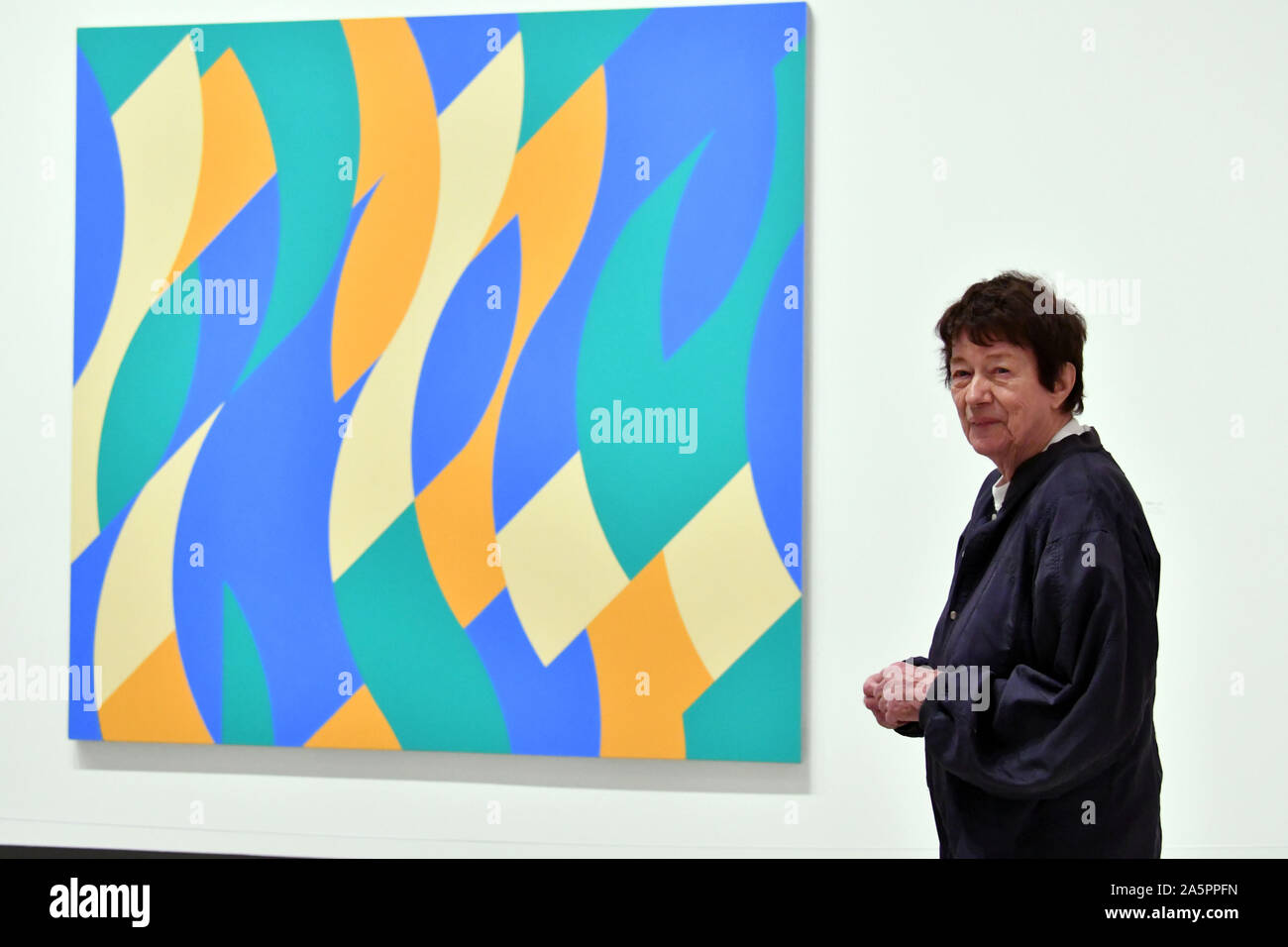 Bridget riley artist hi-res stock photography and images - Alamy
