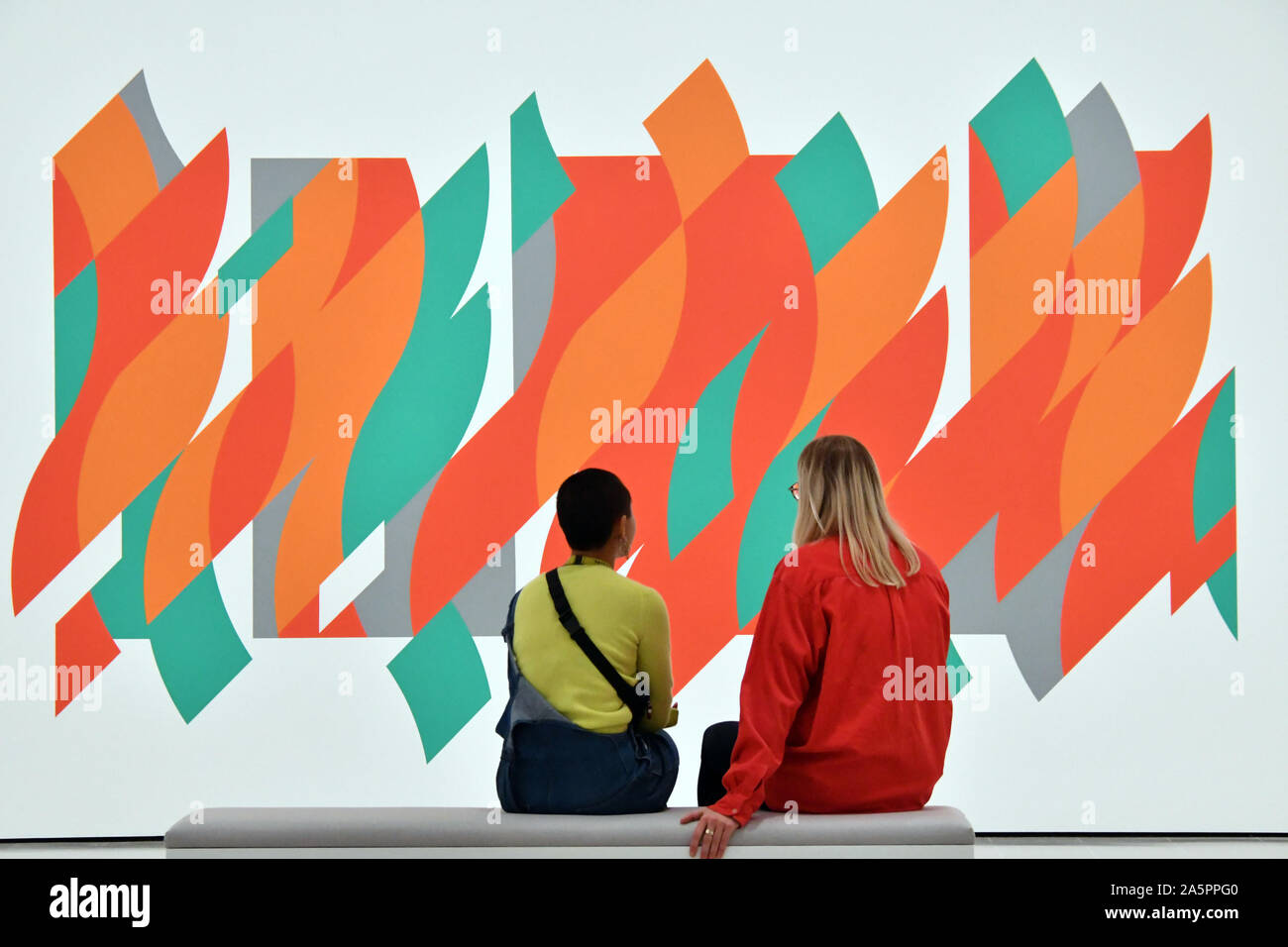 Hayward Gallery, London, UK. 22nd Oct 2019. Bridget Riley, Rajasthan ...