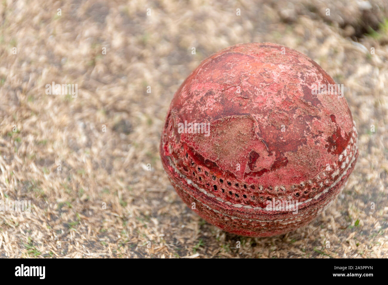 A close up view of a old well used red cricket ball on a grass pitch Stock Photo