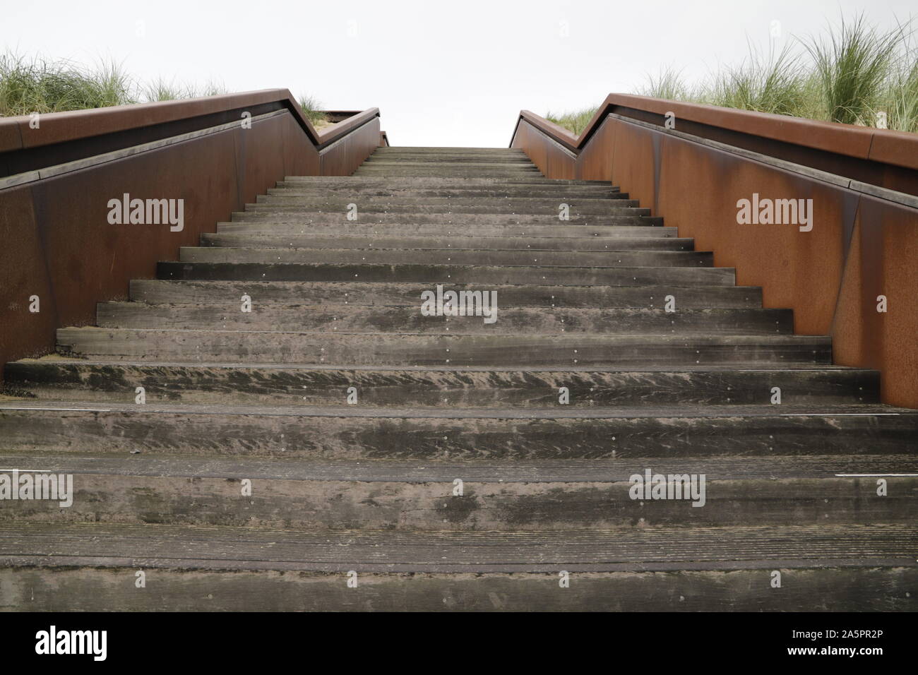A stairs going up the dunes to visit the beach in the netherlands Stock