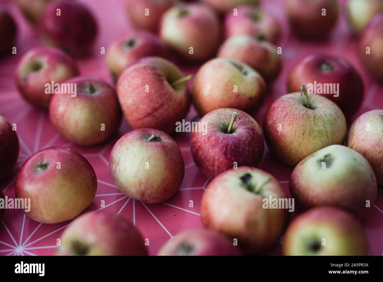 Apples Stock Photo