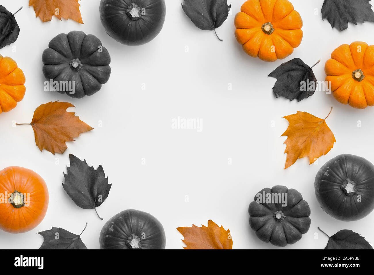 A contemporary Autumn harvest and halloween frame background with ...