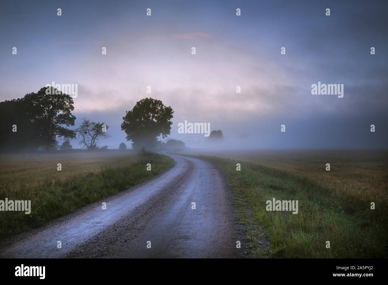 Overcast foggy landscape view hi-res stock photography and images - Alamy
