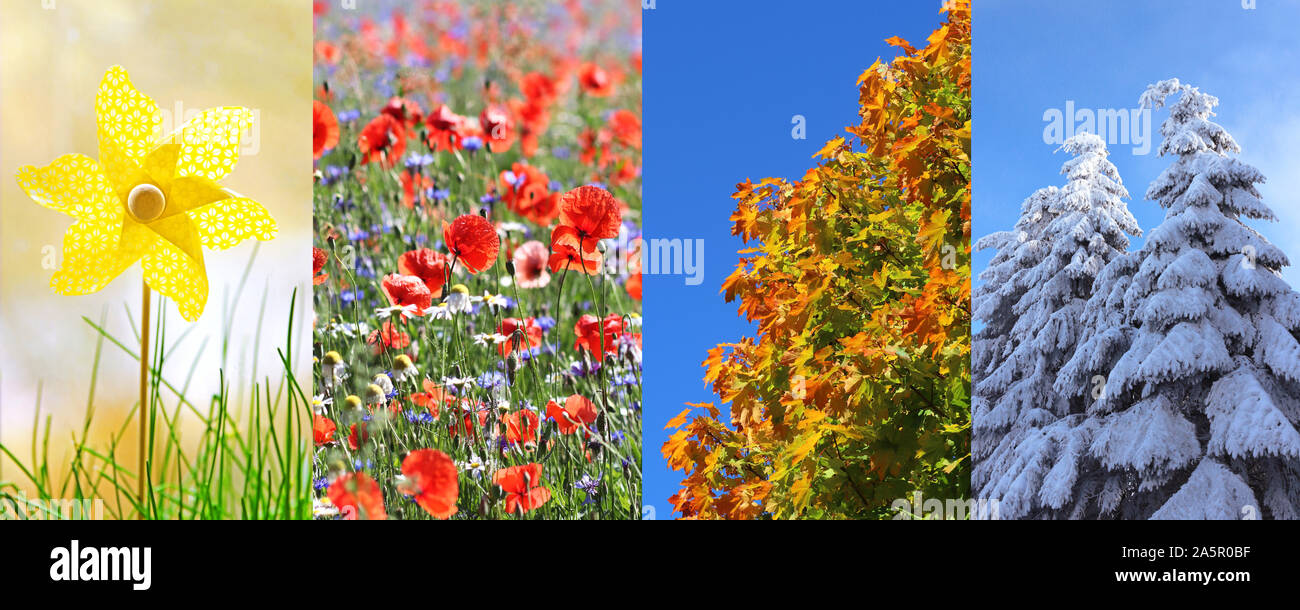 nature collage with a spring, summer, autumn and winter impression Stock Photo