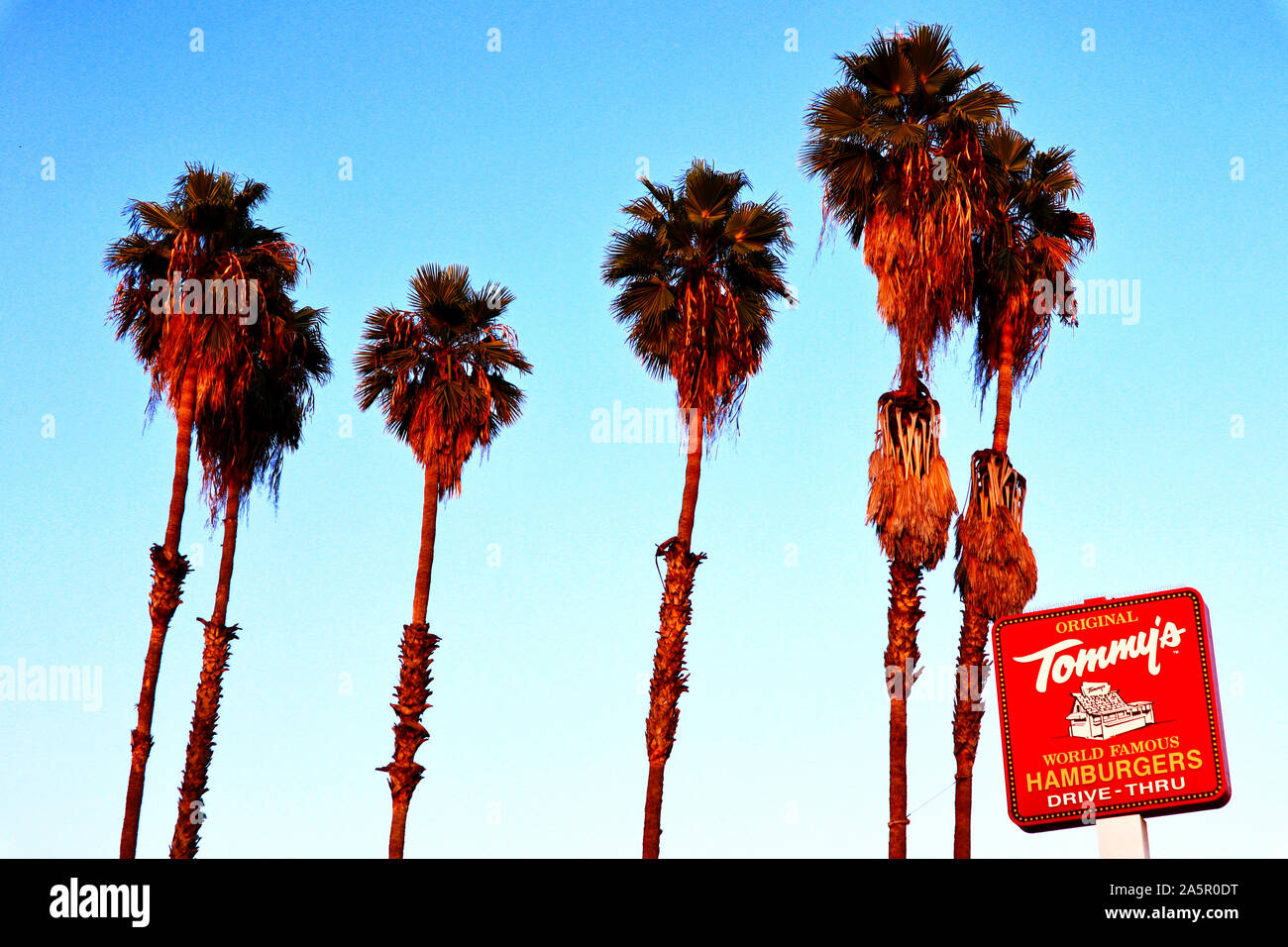 Original Tommy's World Famous Hamburgers, fast food restaurant on ...