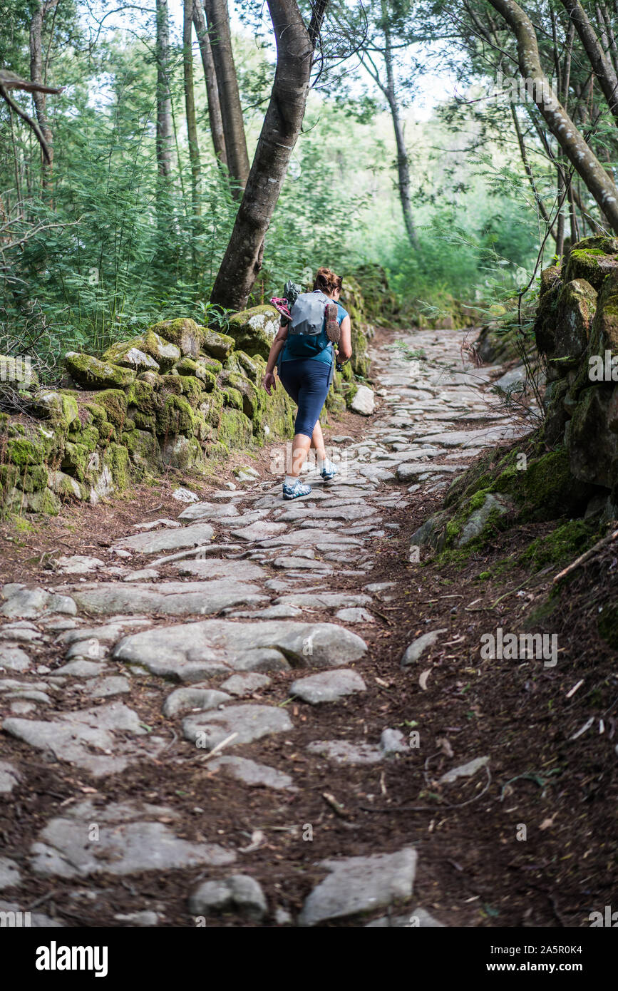 piklgrim on the way in the forest, near of the Viana do Castelo, Portugal, Europe. Camino Stock Photo - Alamy