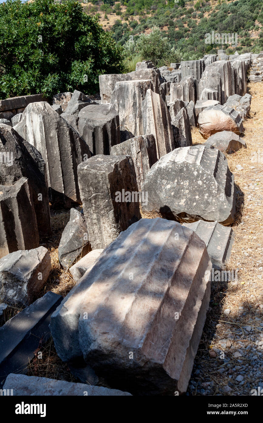 Fallen columns at the Tholos of Delphi,Delphi, Greece Stock Photo