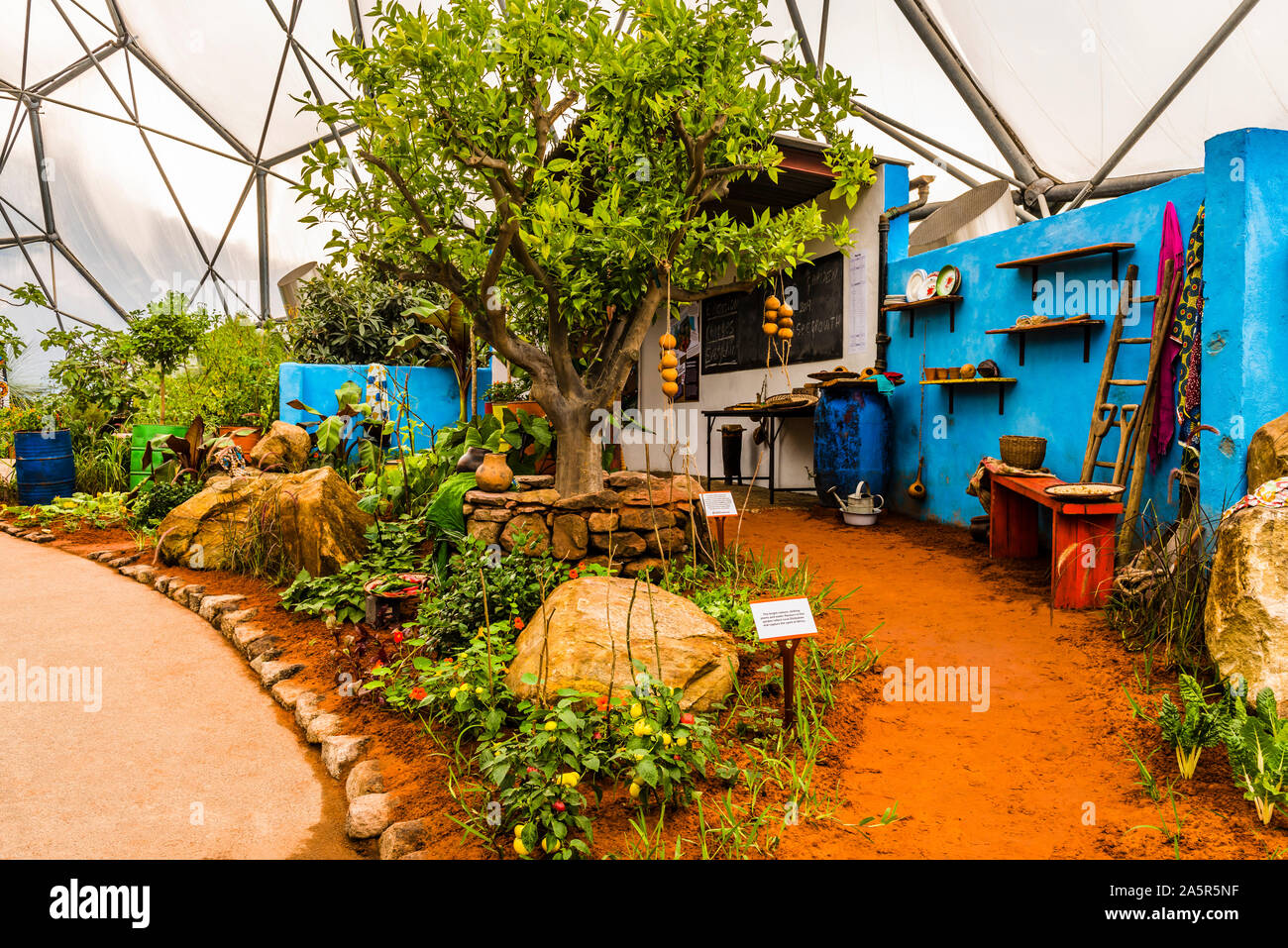 The gold medal winning RHS Chelsea Flower Show 2019 CAMFED Garden re-built at the Eden Project, Cornwall, UK Stock Photo