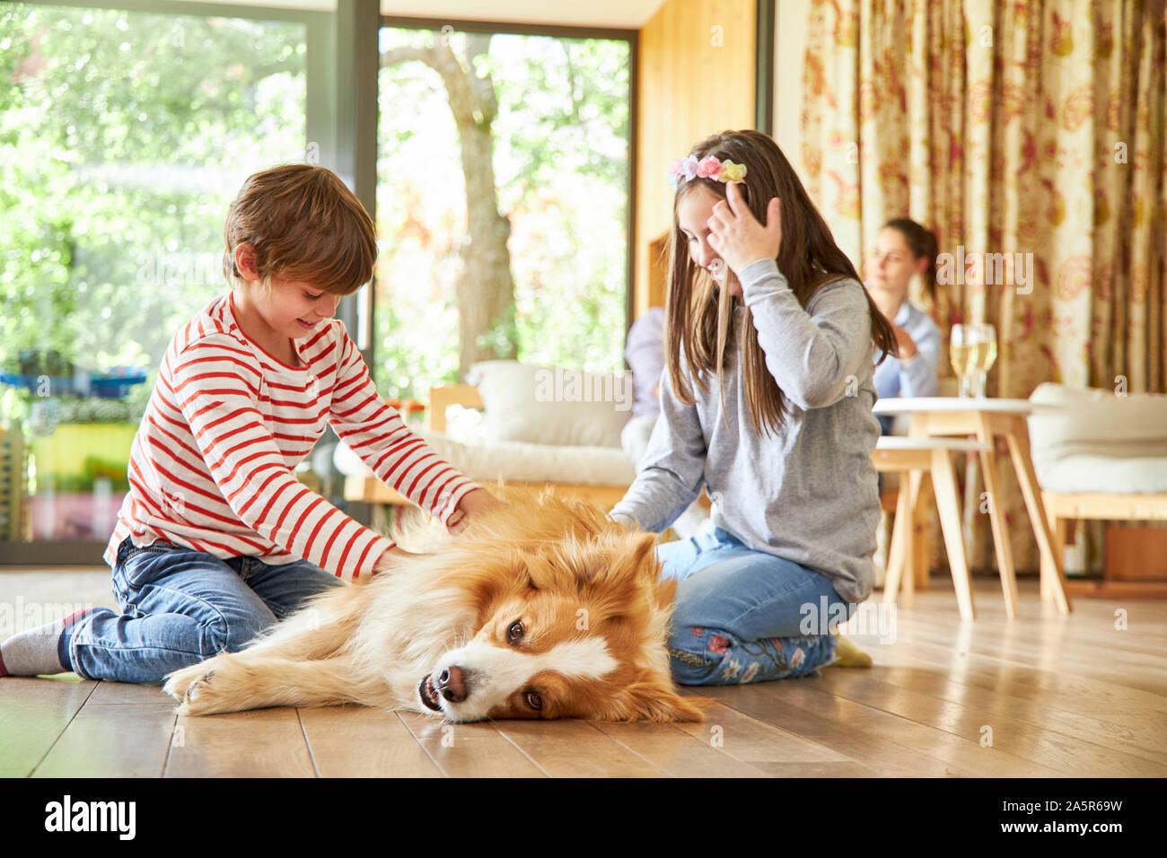 Children Stroke Their Dog In The Living Room As A Sign Of Friendship 