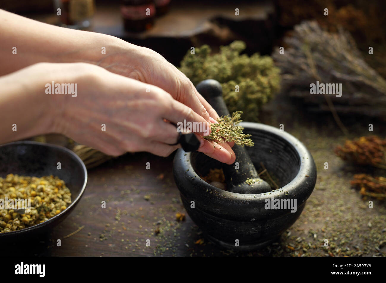 Dried herbs in natural medicine and cooking Stock Photo