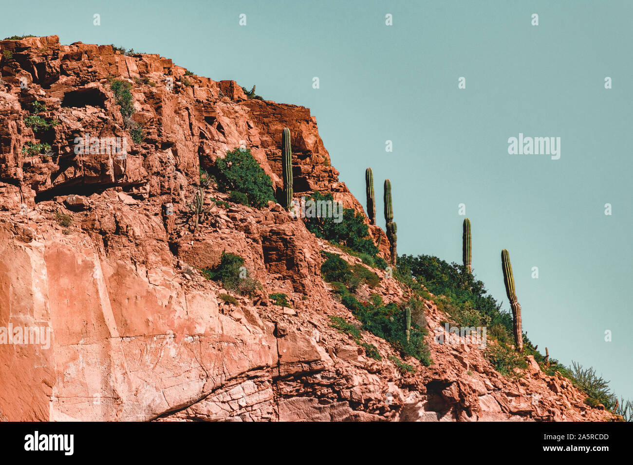 Looking of to the red cliffs and cactus of Isla Espiritu Santo, BCS. Stock Photo