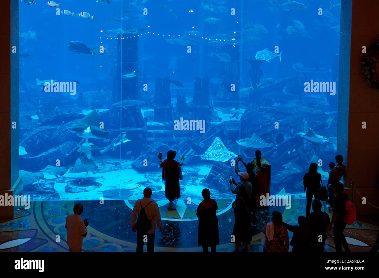 People at aquarium and underwater Zoo at Atlantis Palm, Dubai, United Arab Emirates Stock Photo